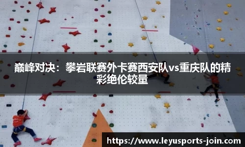 乐鱼体育公司