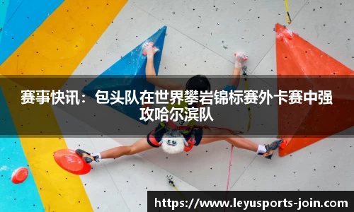 乐鱼体育公司